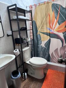 a bathroom with a toilet and a shower curtain at Don Lioni in El Valle de Antón