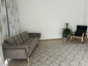 a living room with a couch and a chair at Aaberg Lounge in Waldshut-Tiengen