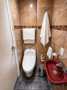 a bathroom with a toilet and a red sink at Habitación individual con baño privado a 2 min de Ciudad Universitaria - UNAM - Institutos de Investigación in Mexico City +17 photos