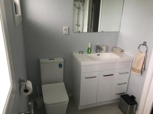 a bathroom with a toilet and a sink and a mirror at Cosy Beach House in Riverton +14 photos