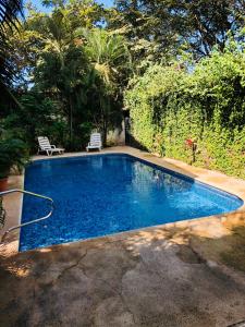 a swimming pool in a yard with two chairs at Tama Magico in Tamarindo