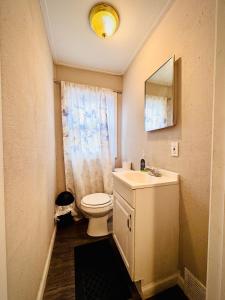 a bathroom with a toilet and a sink and a mirror at Niagara View at LaSalle SH in Niagara Falls +51 photos