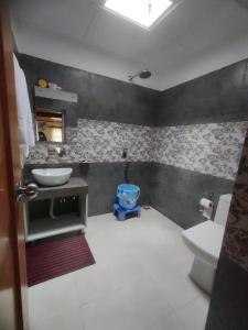 a bathroom with a blue toilet and a sink at Yarab tso hotel Tigger Nubra in Nubra