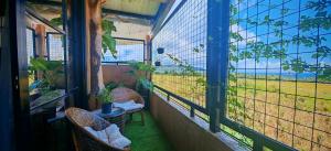 a balcony with two chairs and a table and a window at GRG Stays-MatteoS in Santo Domingo