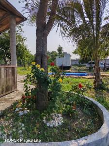 a garden around a palm tree in front of a house at Quinta Aroma Zempoala in Zempoala