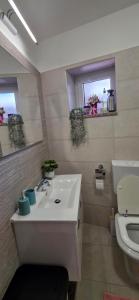a bathroom with a white sink and a toilet at Studio Apartman DORA in Senj +49 photos