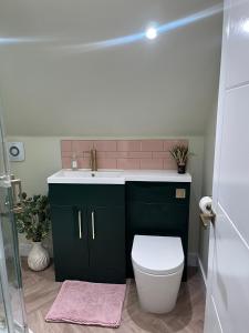 a bathroom with a green sink and a toilet at Loft Studio in Davenham