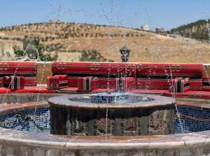 a fountain with water coming out of it at Al Maha Farm in Jerash