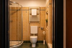 a bathroom with a toilet and a shower at Boutique Rooms 3 0 in Ferrara