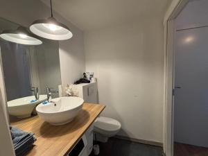 a bathroom with a sink and a toilet and a mirror at Green & Quiet Apartment in Haapsalu in Haapsalu +10 photos