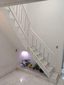 a white staircase in a white room with flowers at Hermoso apartamento in Soledad