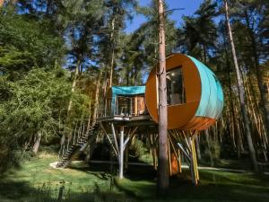 a tree house in a forest at Kanna-Qu7625 in Chipping Norton +5 photos