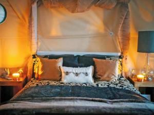 a bedroom with a bed with pillows on it at The Tree Dome - Ukc6979 in Ludlow