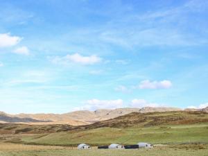 a group of horses in a field with mountains in the background at Katie's Pod in Acharacle +1 photo