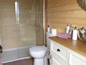 a bathroom with a white toilet and a shower at The Star Dome - Ukc6978 in Ludlow