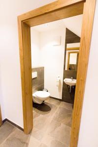 a bathroom with a toilet and a sink at Apartment gmiatlich Wohnen in Hollersbach im Pinzgau