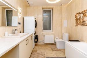 a bathroom with a sink and a washing machine at Melissa's House in Cheltuitori +23 photos