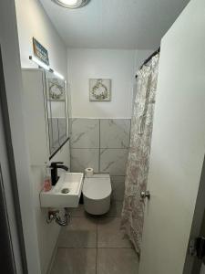 a bathroom with a sink and a toilet and a mirror at Anchorage Fireoved Experience in Anchorage +12 photos