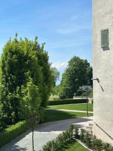 a view of a garden with a mountain in the background at L'Orangerie del Castello in Morozzo