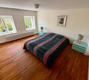 a bedroom with a bed and two end tables at Vue imprenable Léman - Cosy à Chexbres in Chexbres