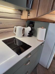 a kitchen with two white appliances on a counter at Sodyba Atgaiva in Lazdininkai