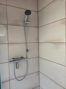 a shower with a shower head in a bathroom at Ferienhaus in Finsterbergen in Friedrichroda +27 photos