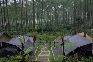 a group of tents in a forest with trees at serlok glamping in Tangkubanperahu