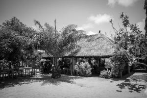 a house with a straw roof with a palm tree at CDAC Elijah - Espace Culturel in Ouidah