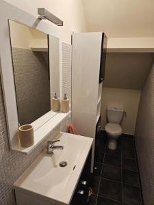 a bathroom with a sink and a toilet at Cosy travels in Les Andelys +1 photo