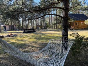 a hammock hanging from a tree in a field at Nature Getaway Holiday Home in Mujaste