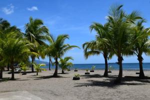 a row of palm trees on a beach with the ocean at Appartement Cosy design in Schœlcher