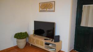 a living room with a flat screen tv and a plant at Vila Dias in Mértola