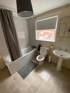 a small bathroom with a toilet and a sink at spamount house in Belfast
