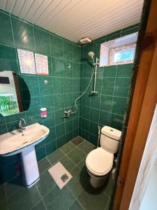 a green bathroom with a toilet and a sink at Hotel Nodmax in Ureki +77 photos