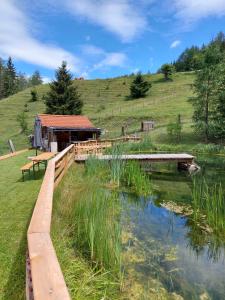 a cabin on a hill next to a pond at Ferienwohnung Köck in Sankt Georgen bei Neumarkt