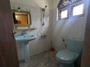 a bathroom with a toilet and a sink and a mirror at Arangala View in Elhanyaya