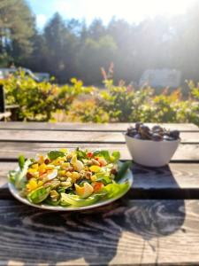 a salad on a plate on a wooden table at Camping Siesta in Lille