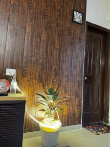 a plant in a pot in front of a door at Kavya royal in Mathura