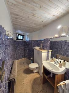 a bathroom with a toilet and a sink at Villa Manoe in Draguignan +10 photos
