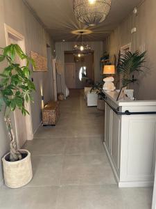 a hallway with a potted plant in a room at Mellow Paros in Parikia