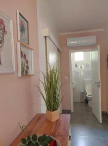 a room with a table with a potted plant on it at Vidam in Csengőd +11 photos