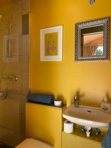 a bathroom with a sink and a toilet and a mirror at Guesthouse With Lake View in Veiðilundur
