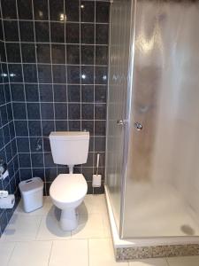 a bathroom with a toilet and a shower at Fewo Frieda in Seehausen