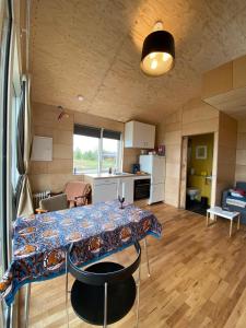 a kitchen and a table in a room at Guesthouse With Lake View in Veiðilundur +35 photos