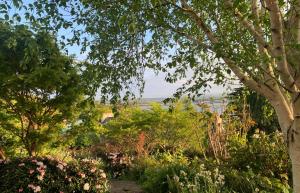 a garden with flowers and trees in the background at Norwood in Rushbrooke