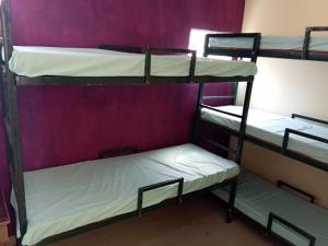 two bunk beds in a room with a purple wall at Shivashrays Homestay in Rānchī