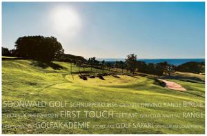 a group of animals grazing on a grassy hill at Ferienhaus am Golfplatz in Stromberg