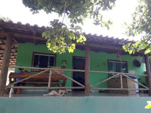 a dog laying in front of a green house at Rancho dos dourados in Três Marias