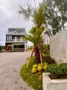 a palm tree in front of a house at 有風別院民宿 登記編號3098 in Dongshan