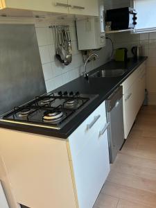a kitchen with a stove and a sink at Boshuis Green Forest in Durbuy
